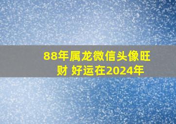 88年属龙微信头像旺财 好运在2024年